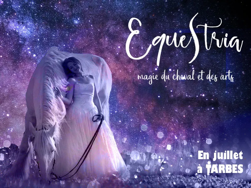 Retrouvez la magie du Festival Equestria Hotel la Croix Blanche Tarbes 